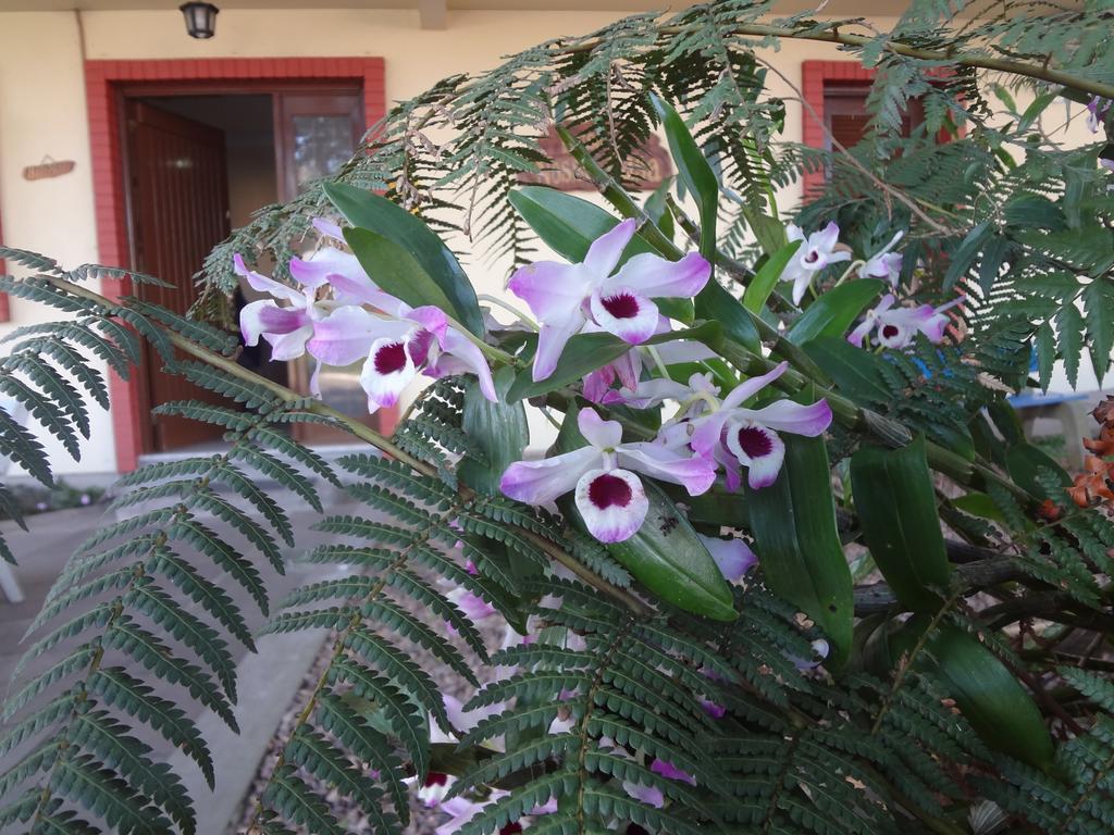 Pousada Floratta Nossa Casa Gramado Exteriör bild